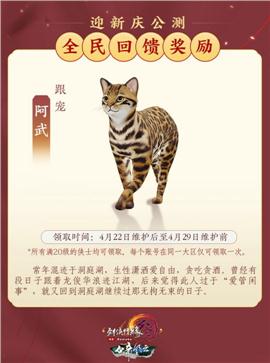 天龙八部私服镶嵌装备